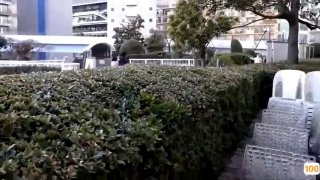 广东黄页绝对新鲜 相约妹妹高考完毕马上车震 最后受不了口爆全吞下了